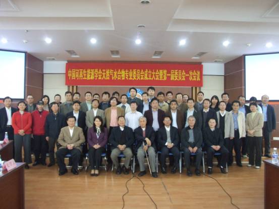 中國(guó)可再生能源學(xué)會(huì)天然氣水合物專業(yè)委員會(huì)在廣州成立