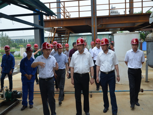 黑龍江省副省長(zhǎng)胡亞楓考察廣州能源所營(yíng)口生物航油中試基地